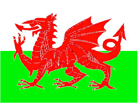 Welsh Flag